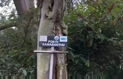 Pos 4 Pondok Samarantu, area hutan rapat di jalur Bambangan yang kerap disebut memiliki suasana berbeda oleh pendaki