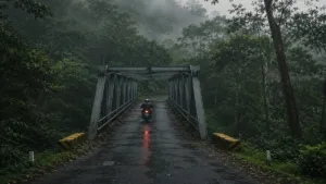 Penampakan jalur Jembatan Kembar Cangar yang berkabut dan dikelilingi hutan lebat, lokasi yang kerap dikaitkan dengan berbagai cerita horor di Jawa Timur.