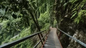 Penampakan jalur baru menuju Goa Tetes Lumajang yang kini mempermudah akses wisatawan.